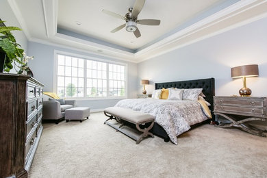 Bedroom - transitional bedroom idea in Chicago