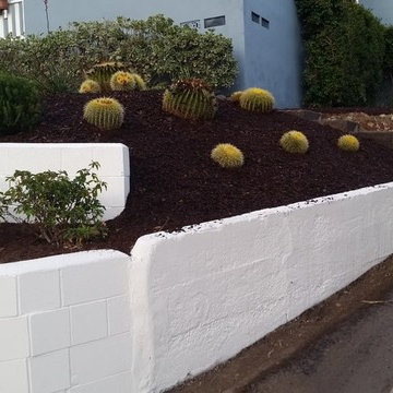 Retaining Wall