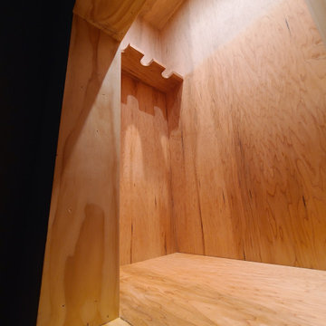 Spring Lakes Hidden Gun Closet