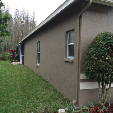 ProTect Painters: Taupe Exterior in Wesley Chapel, FL