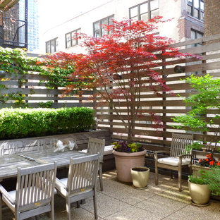 TANK 2012 Client photographs