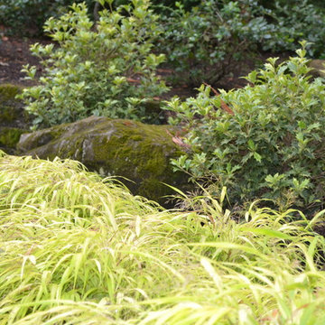 Plant Massing
