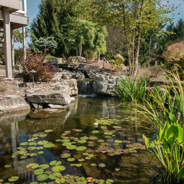Aquascape ecosystem pond and waterfalls
