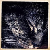 Matthew Hannon's photo