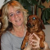 Diane Kring's photo