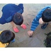 Nariuchi's photo
