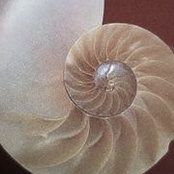 Sidney Watson's photo