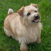 Carole Beardmore's photo