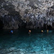Diana Cortes's photo