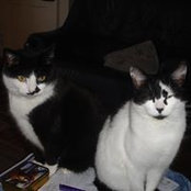 Maggie Walker's photo
