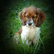 Jill Orcutt's photo