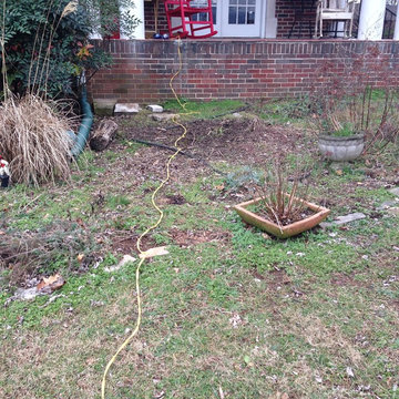 DDT Renovations -  BEFORE & AFTERS