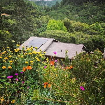 Sonoma County Garden