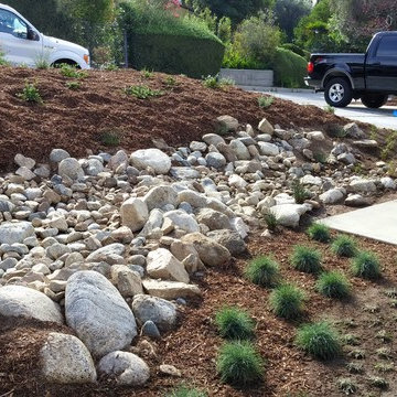 La Crescenta River Bed Project