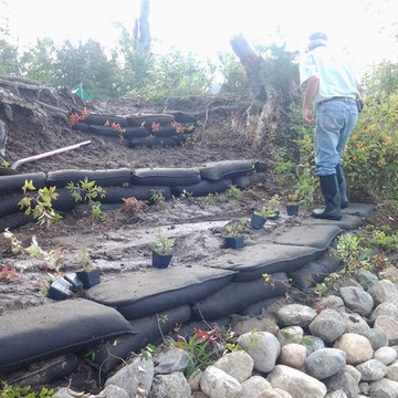 Shoreline Restoration of Campsite on Hot Dog Island on Turtle Flambeau Flowage
