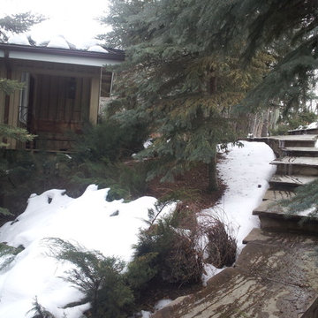 Aspen River Property