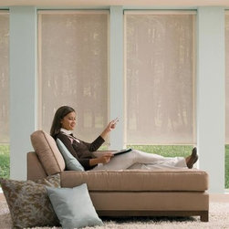 Hunter Douglas Designer Screen Shades - Window Blinds