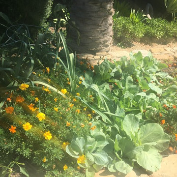 Organic Edible Gardens