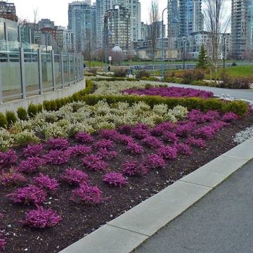 Outdoor landscape maintenance and planting
