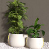 Blinde™ Stitch 50 Concrete Planter - Plant Pots, Natural, Rope: Yellow