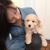Vianna K's photo