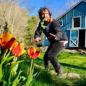 The Brooklyn Garden Club's photo
