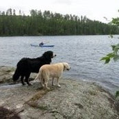 Deborah Nelson's photo