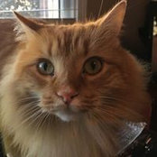 Mary Mahnke's photo