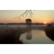 Tom Rowley's photo