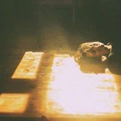 Irina Mnstr's photo
