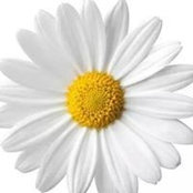 Tammy Gerdes's photo