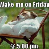 Lisa Hill's photo