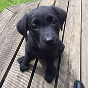 Charlotte Phillips's photo