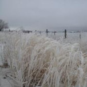 Vicki Shinneman's photo