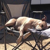 Tracy Cheek's photo