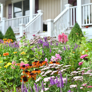 The Wildflower Vibrance Garden