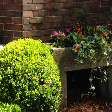 Spring Container Planting
