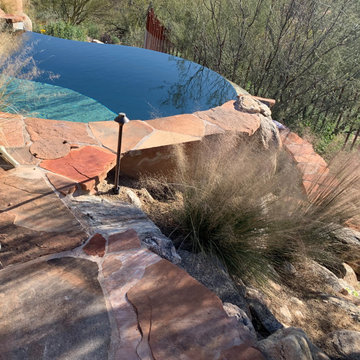Viva Sonoran Desert!