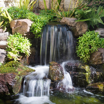 Garden Ponds, Back Yard Ponds, Landscape Ideas, Baltimore County, Maryland (MD)