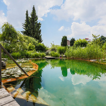 Schwimmteich Natur Pur