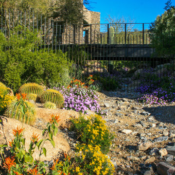 Piestewa Peak Project