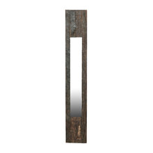 mirror for door