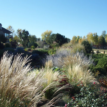 Great Niwot Home Gardens and Pond