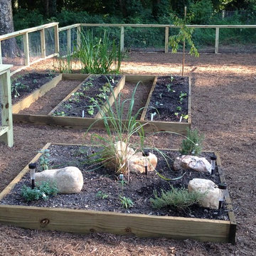 Raised bed vegetable gardens