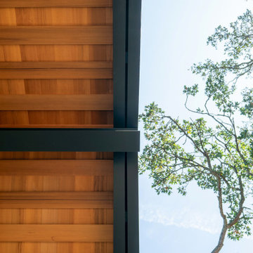 Portola Valley Design: Cedar and Stone