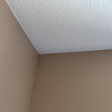 House Interior Painting Project- (Guelph, Ontario)