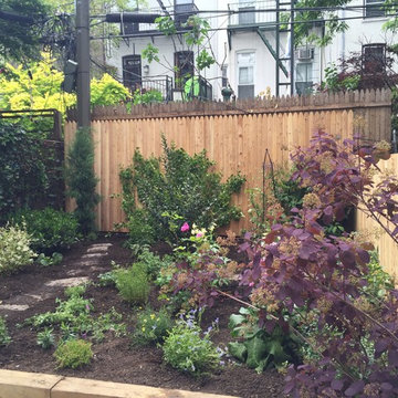 Park Slope Backyard Transformation - New Planting