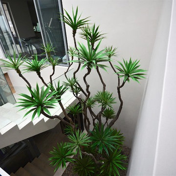 Camps Bay House