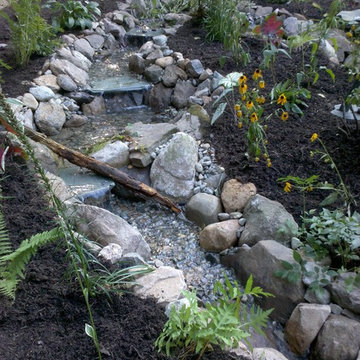 Back Yard Pond - Avon