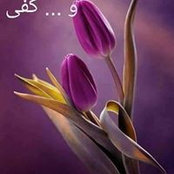 Inas Elfiky's photo